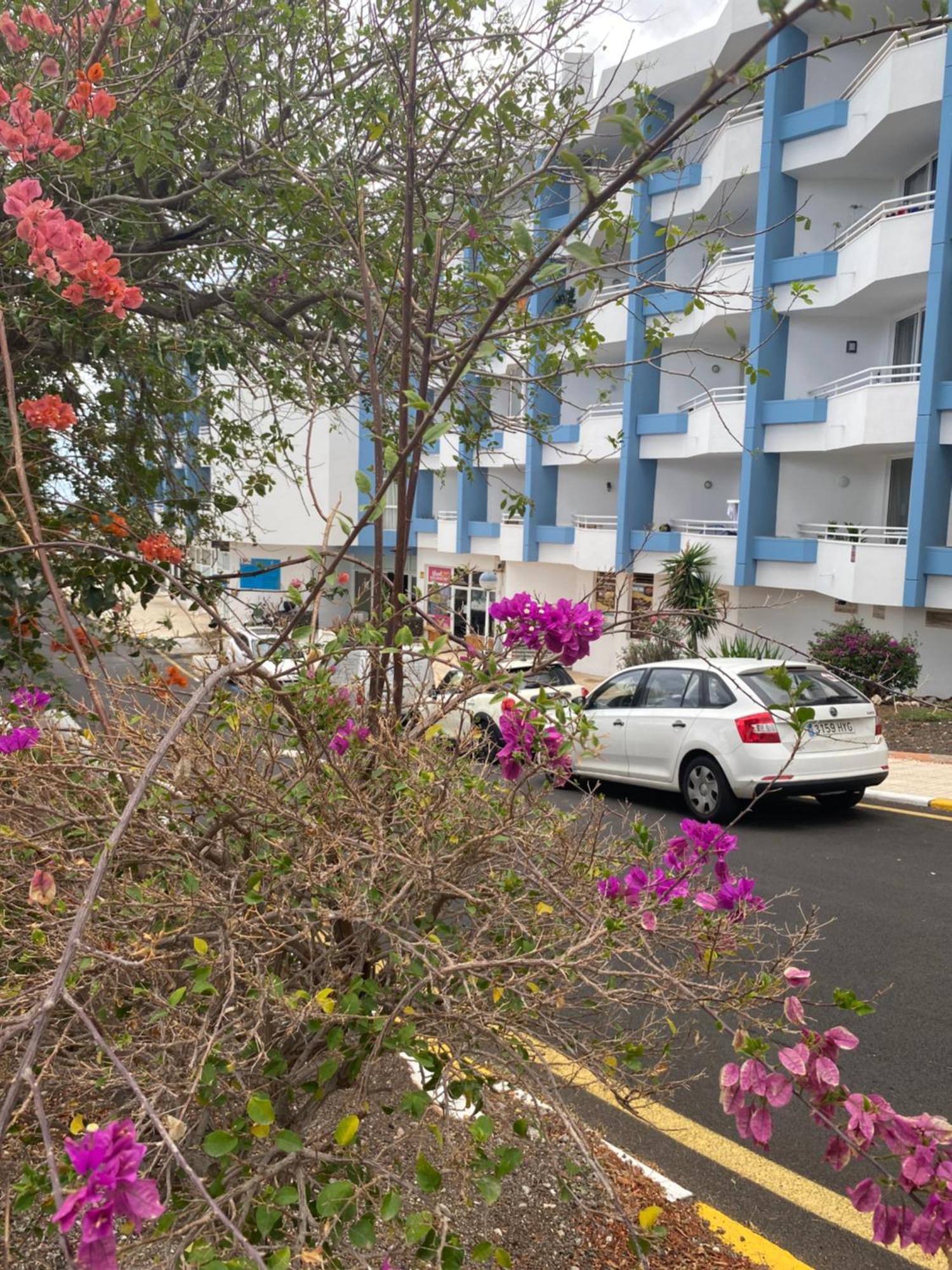 Sissy Tenerife Apartman San Miguel de Abona Dış mekan fotoğraf